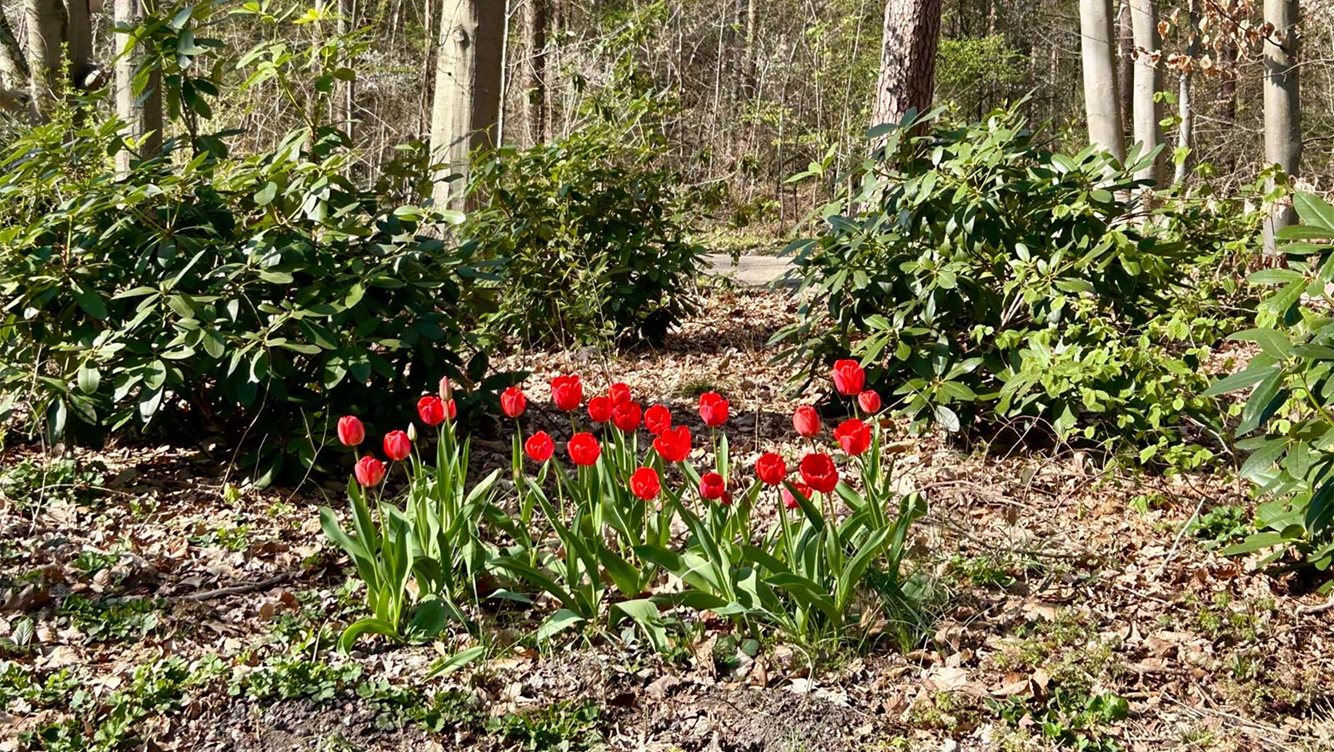 Restaurant De Keuken van Caatje Molecaten Park De Leemkule 29