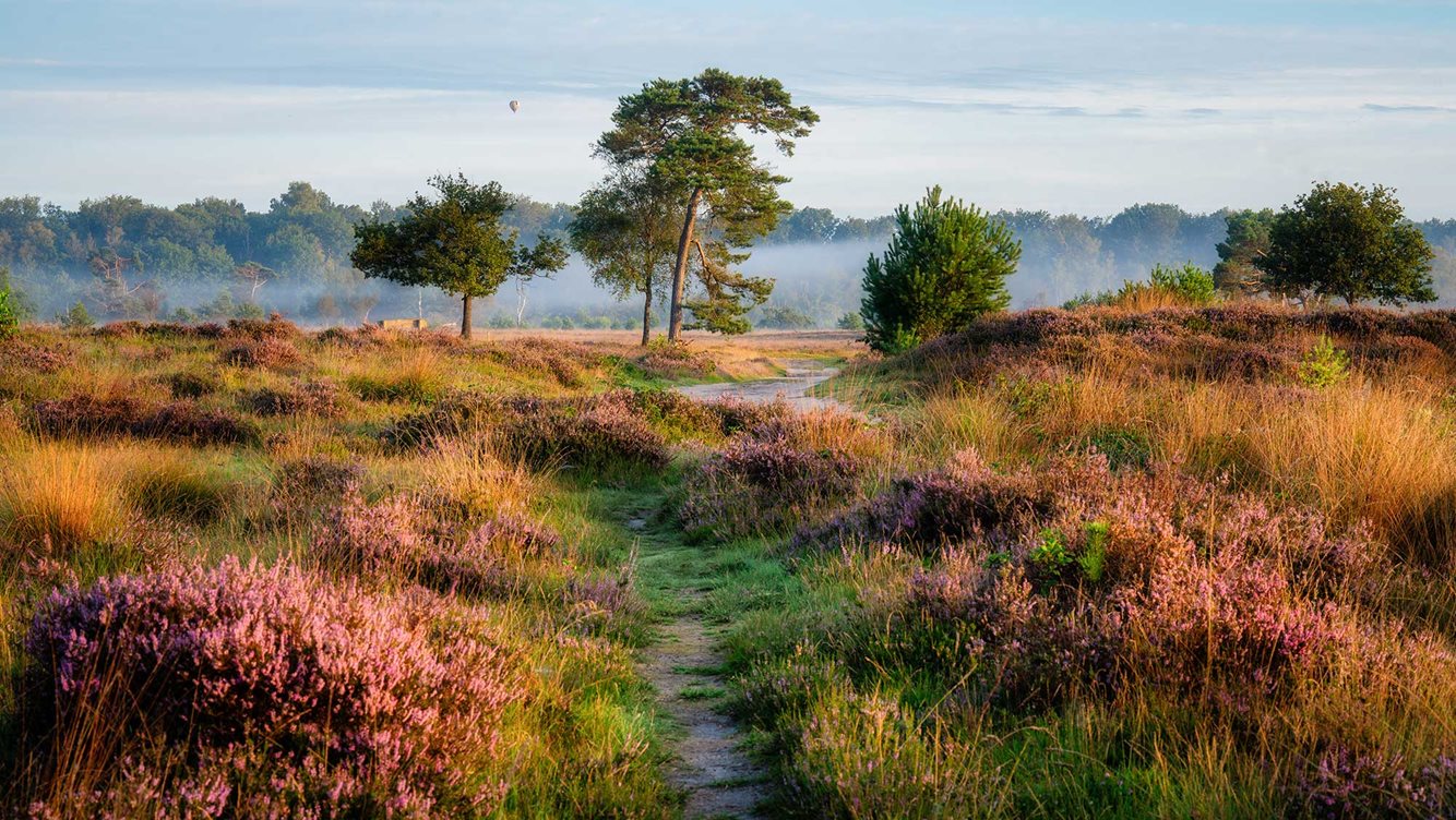 Winnaars molecaten fotowedstrijd 2023 08