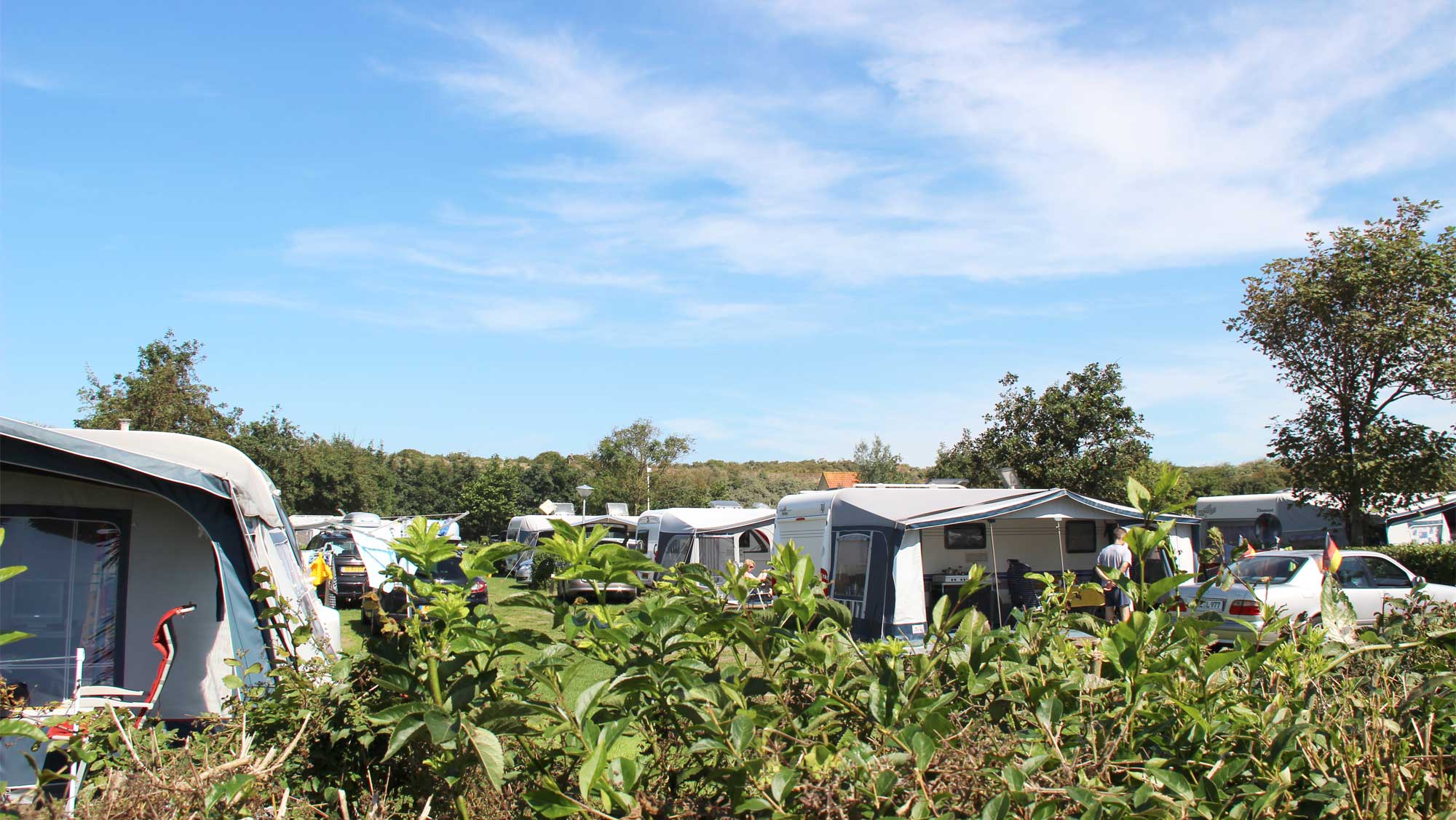 Comfortplaats vanaf 105m2 huisdierveld kamperen Molecaten Park Hoogduin 03