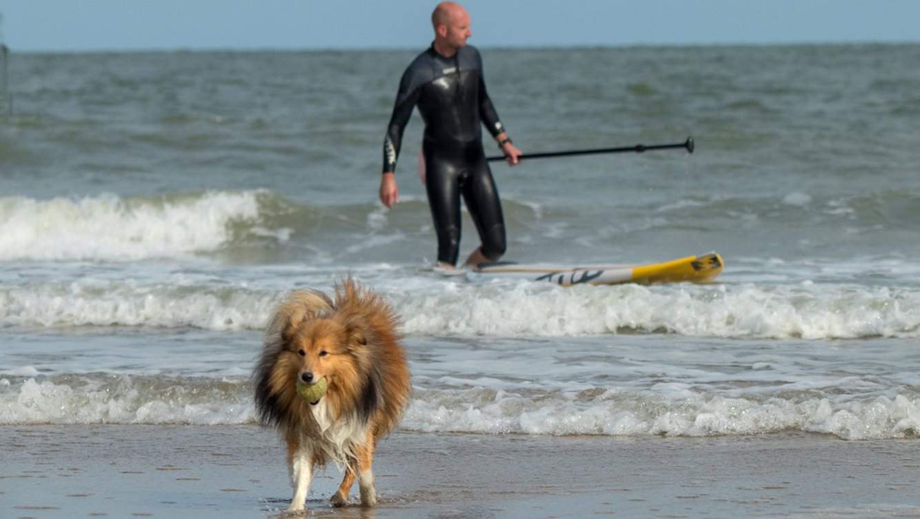 Comfortplaats vanaf 105m2 huisdierveld kamperen Molecaten Park Hoogduin 07