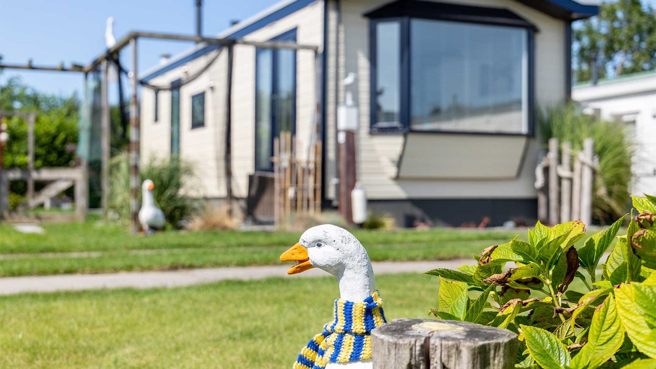 Vaste staanplaats Molecaten Park Hoogduin 09