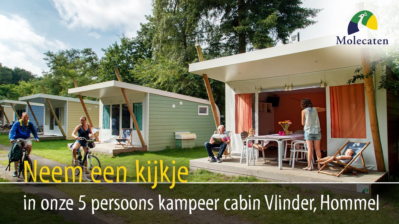 5 persoons kampeer cabin Vlinder op Ginkelduin Molecaten