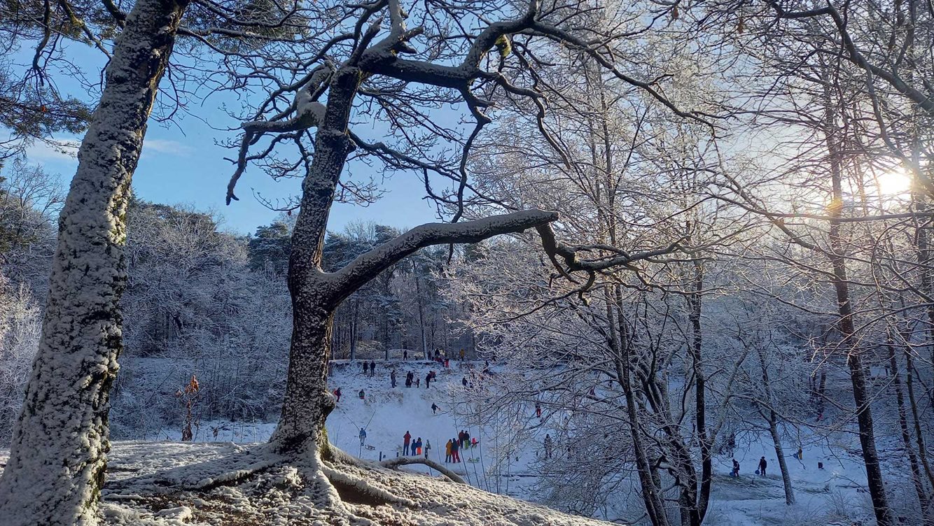 Molecaten Park De Leemkule 45 leemkuil